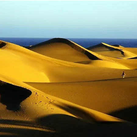 アパート Acogedor Octavo Habitat By Casas Cocodrilo マスパロマス